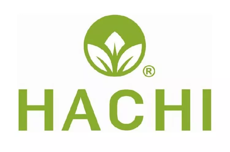 đối tác thành lập công ty hachi