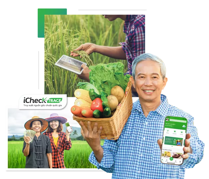 tem truy xuất nguồn gốc icheck trace