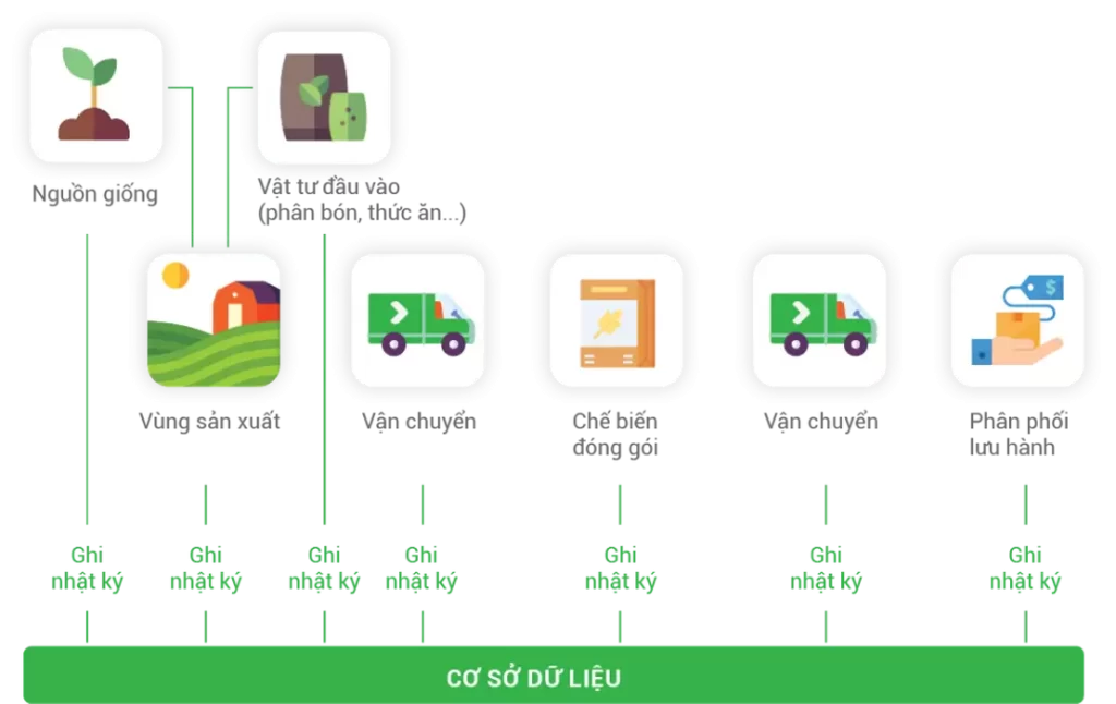 tại sao nên sử dụng tem truy xuất nguồn gốc icheck